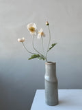 The Poppy - Dawn
