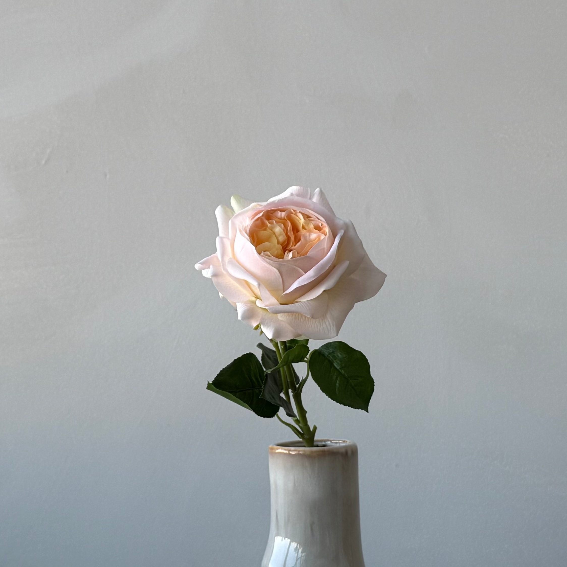 The Estate Rose - Champagne