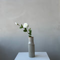 The Lisianthus - Ivory