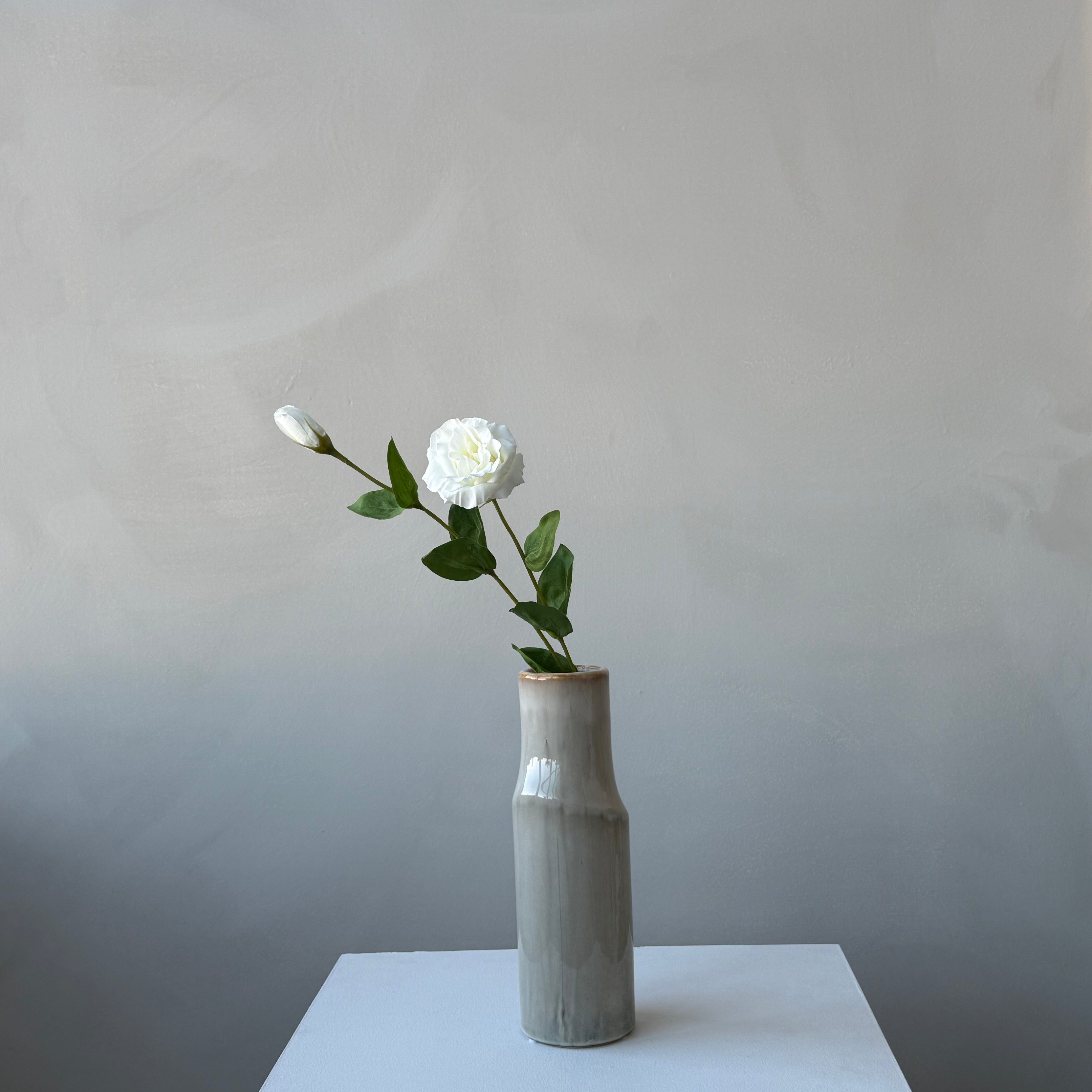The Lisianthus - Ivory