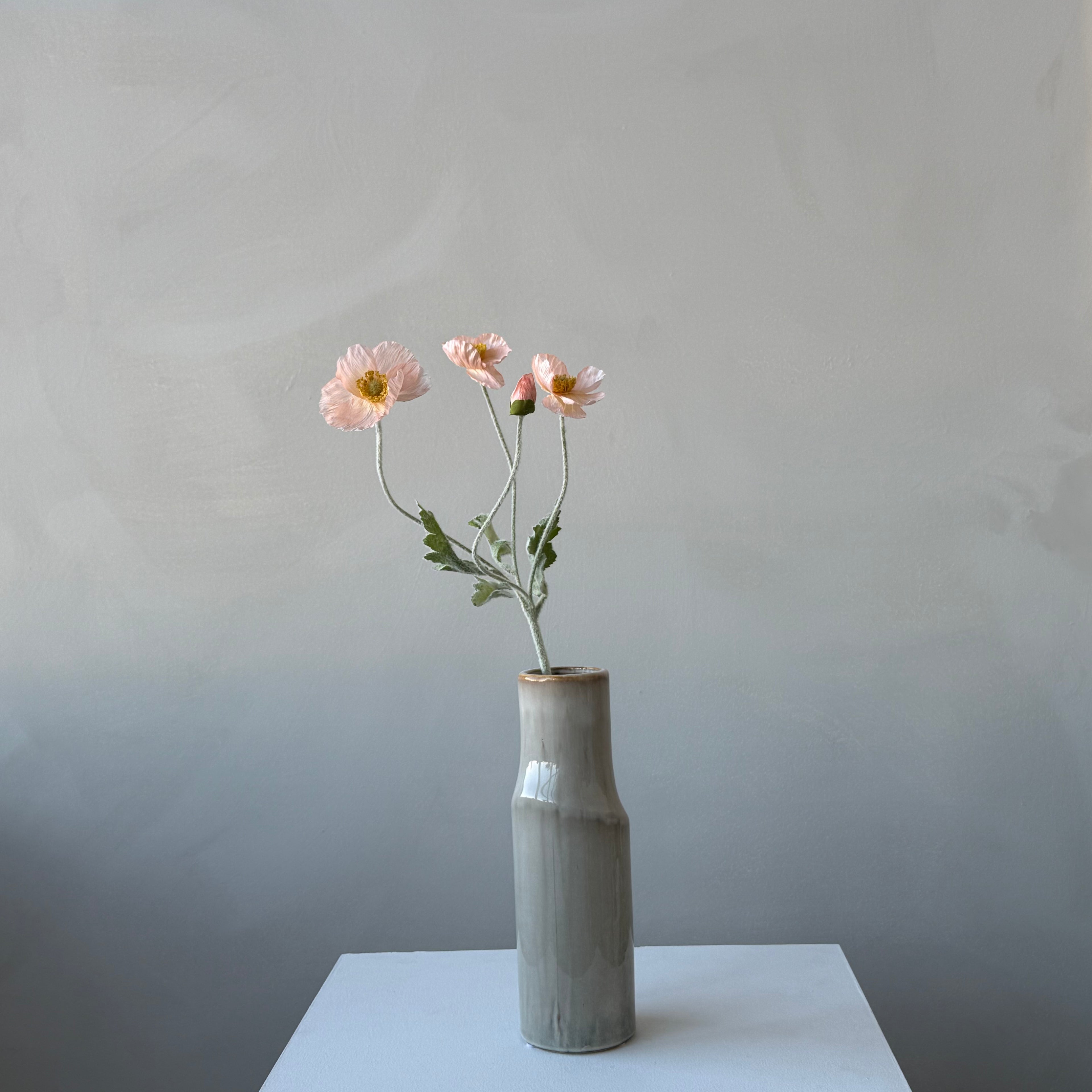 The Poppy - Peach