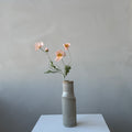 The Poppy - Peach