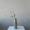 The Poppy - Petal
