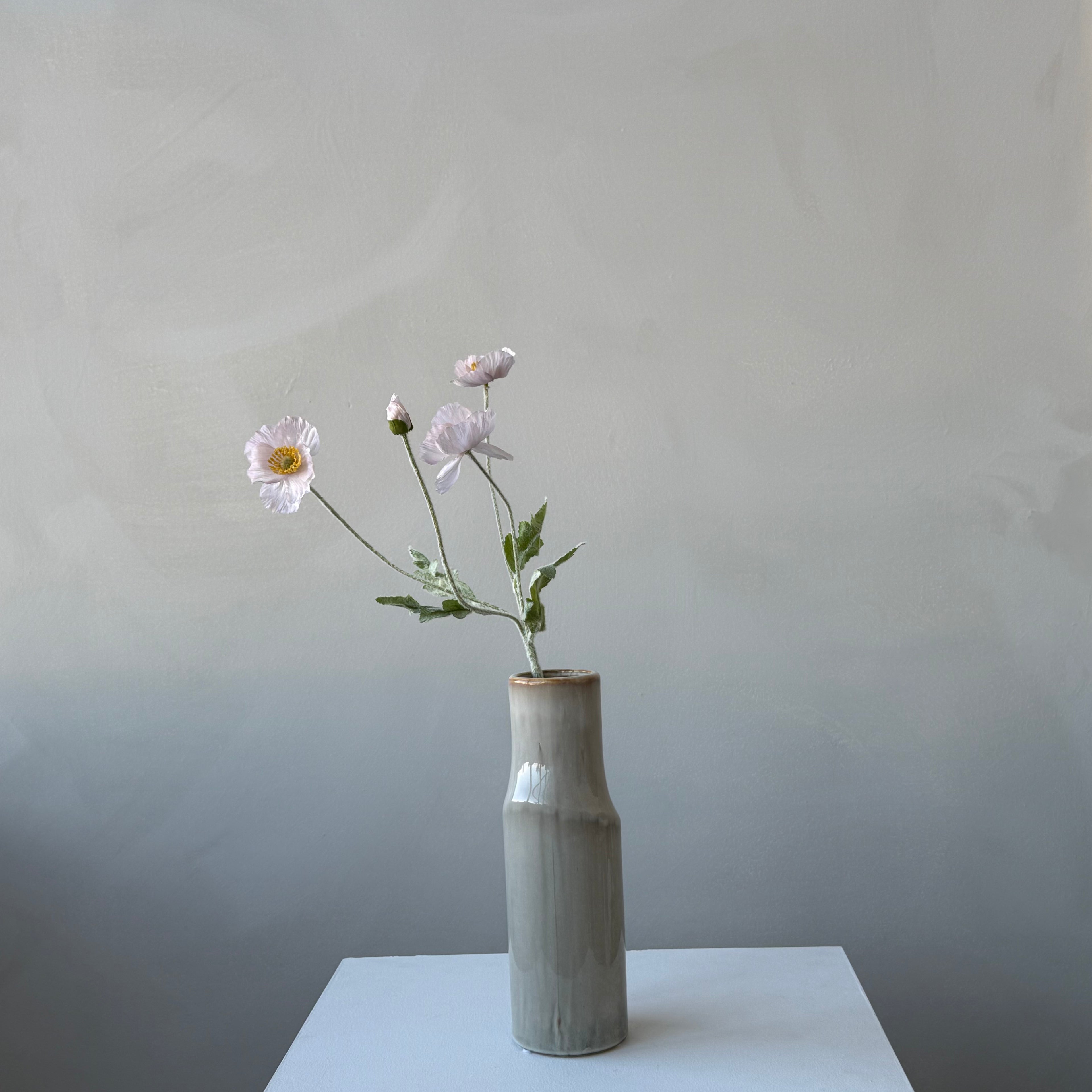 The Poppy - Petal