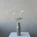 The Poppy - Cashmere