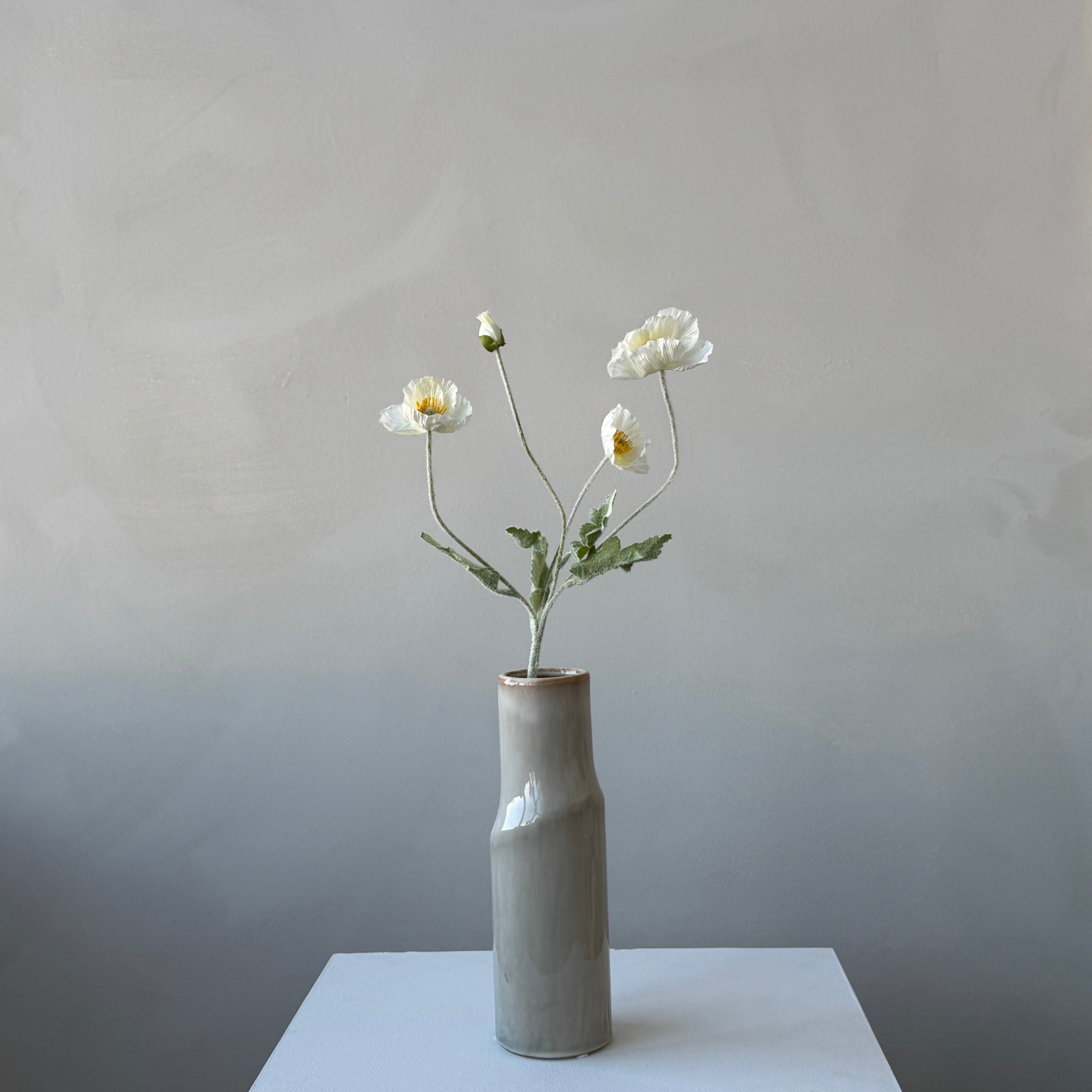 The Poppy - Cashmere