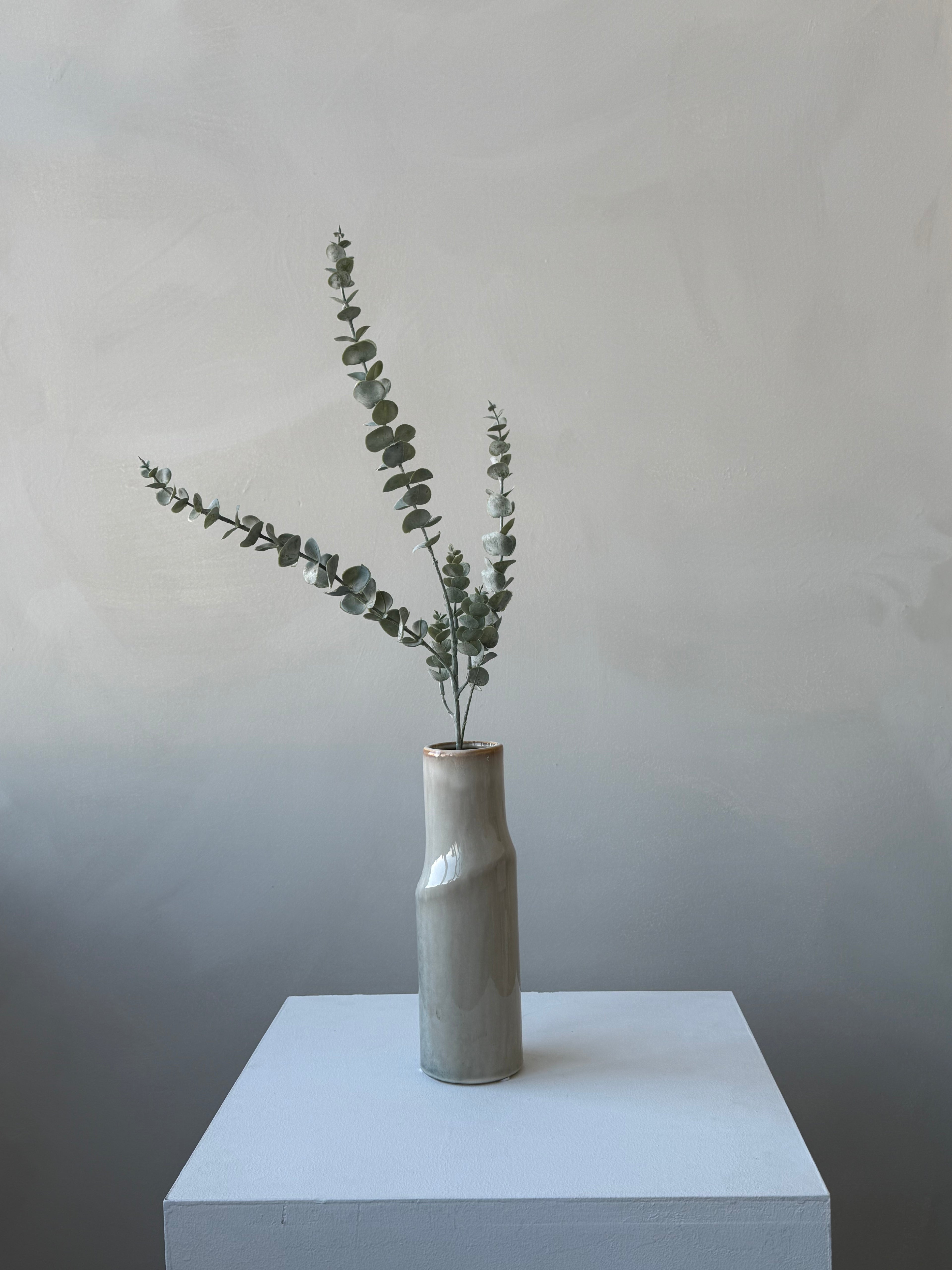 The Baby Blue Eucalyptus Stem
