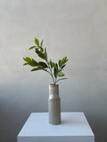 The Jasmine Stem
