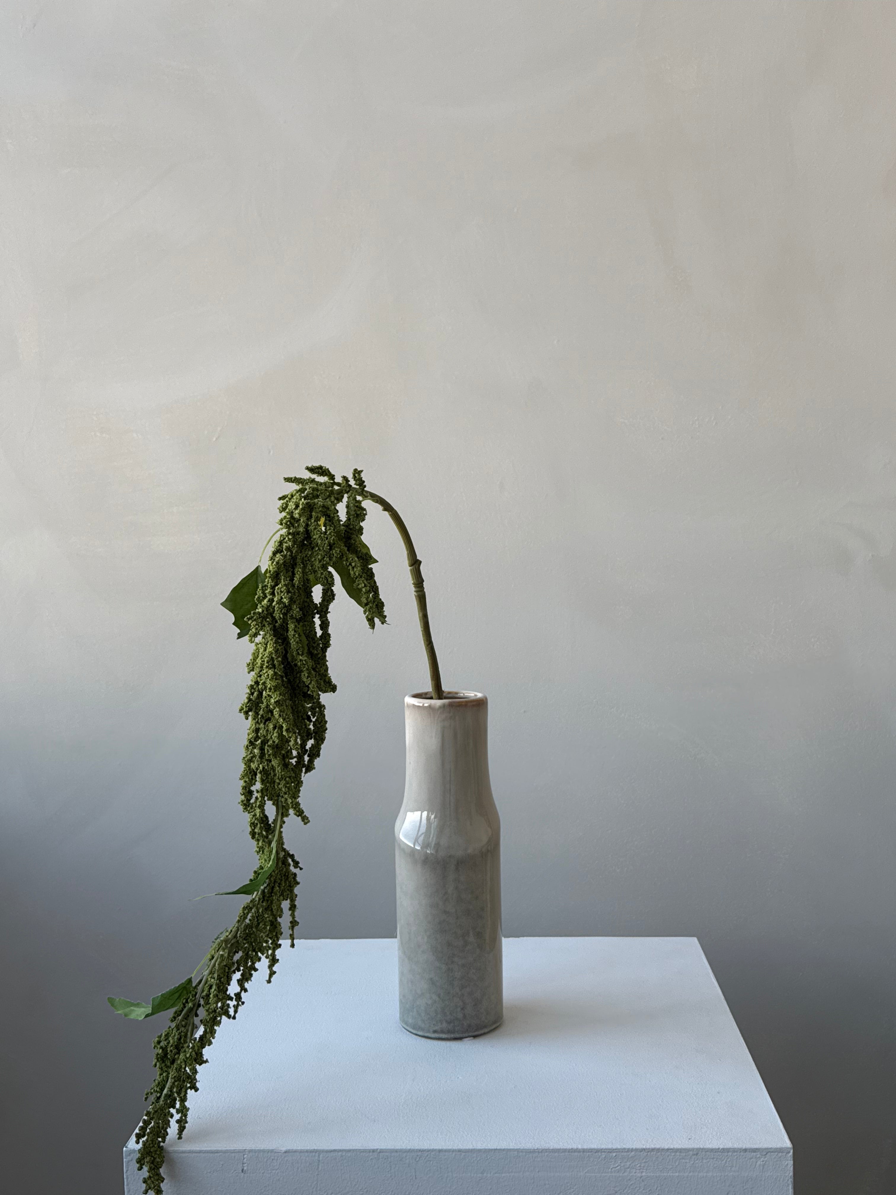 The Amaranthus - Forest Green