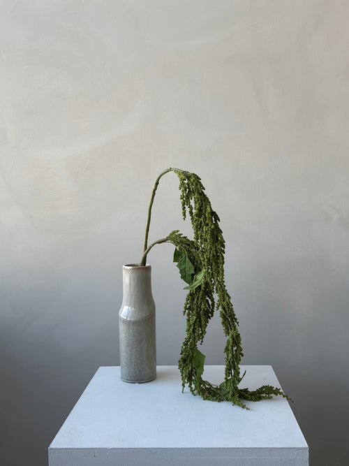 The Amaranthus - Forest Green