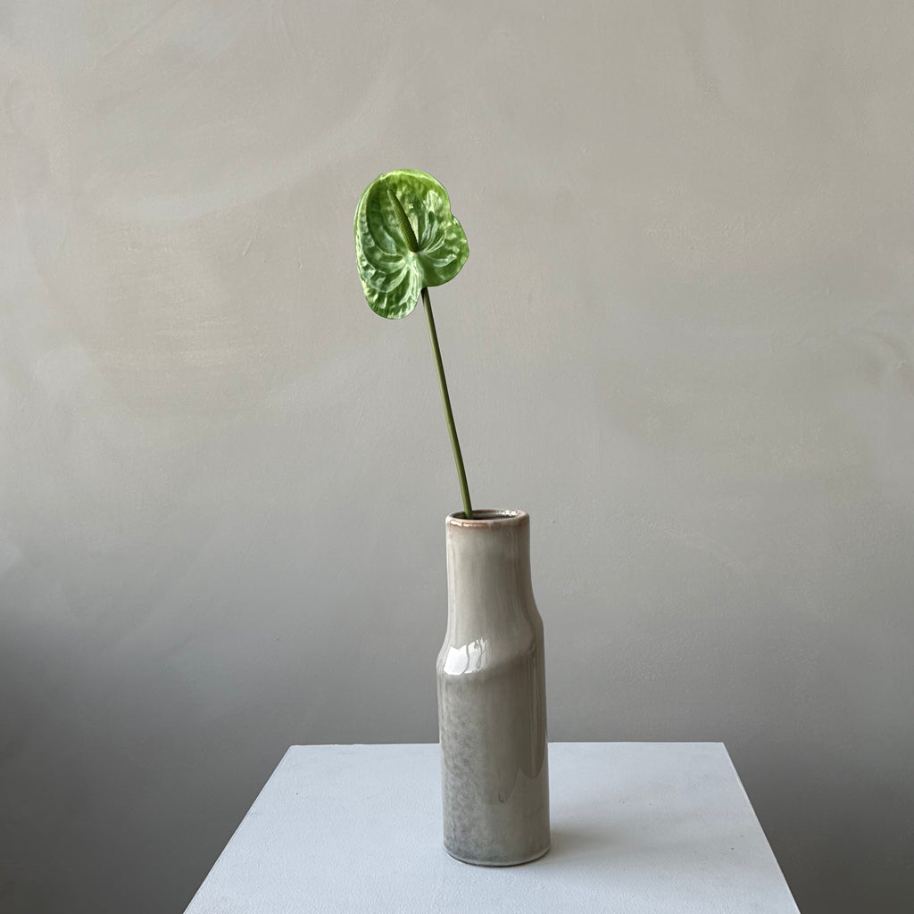 The Anthurium - Green