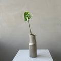 The Anthurium - Green