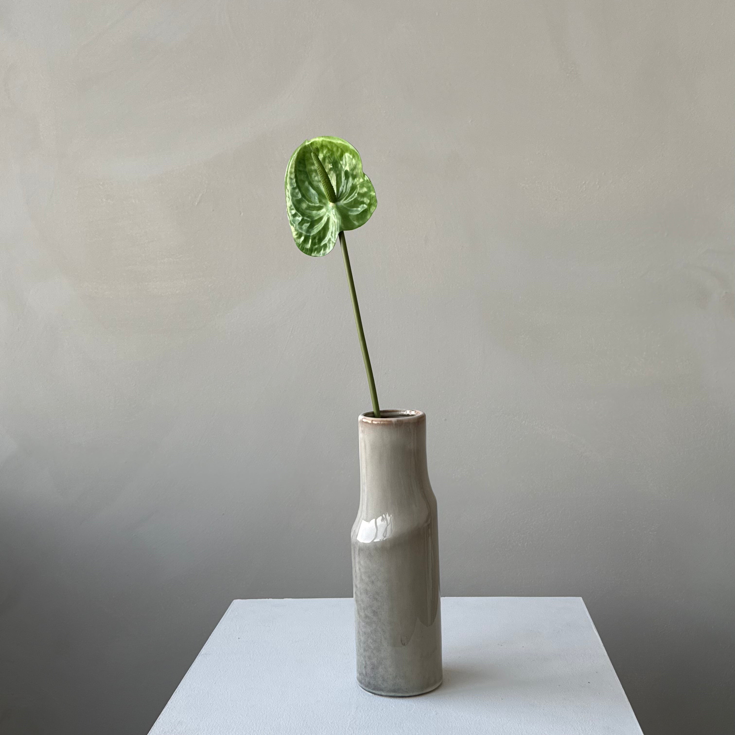 The Anthurium - Green