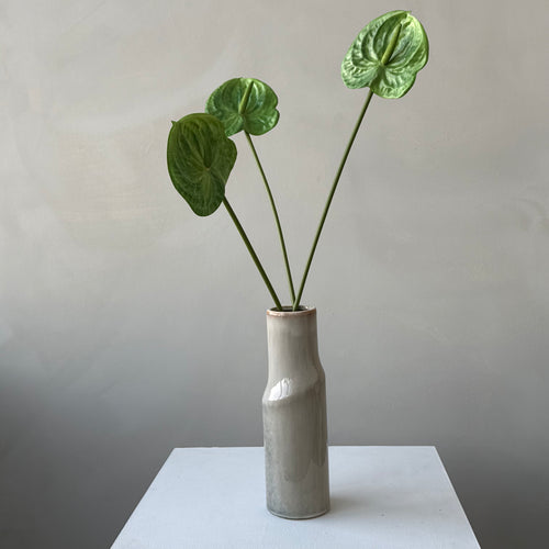 The Anthurium - Green