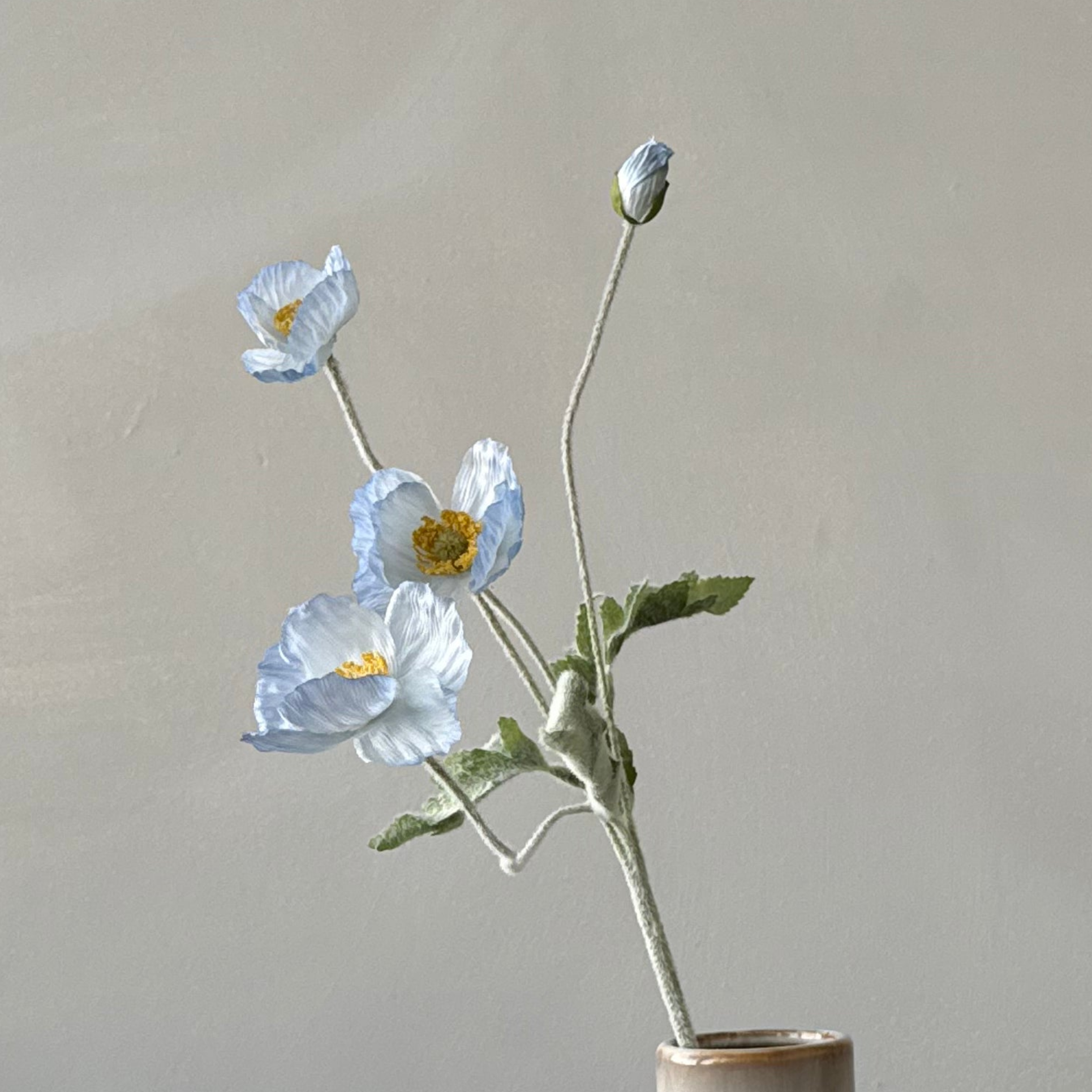 The Poppy - Sky