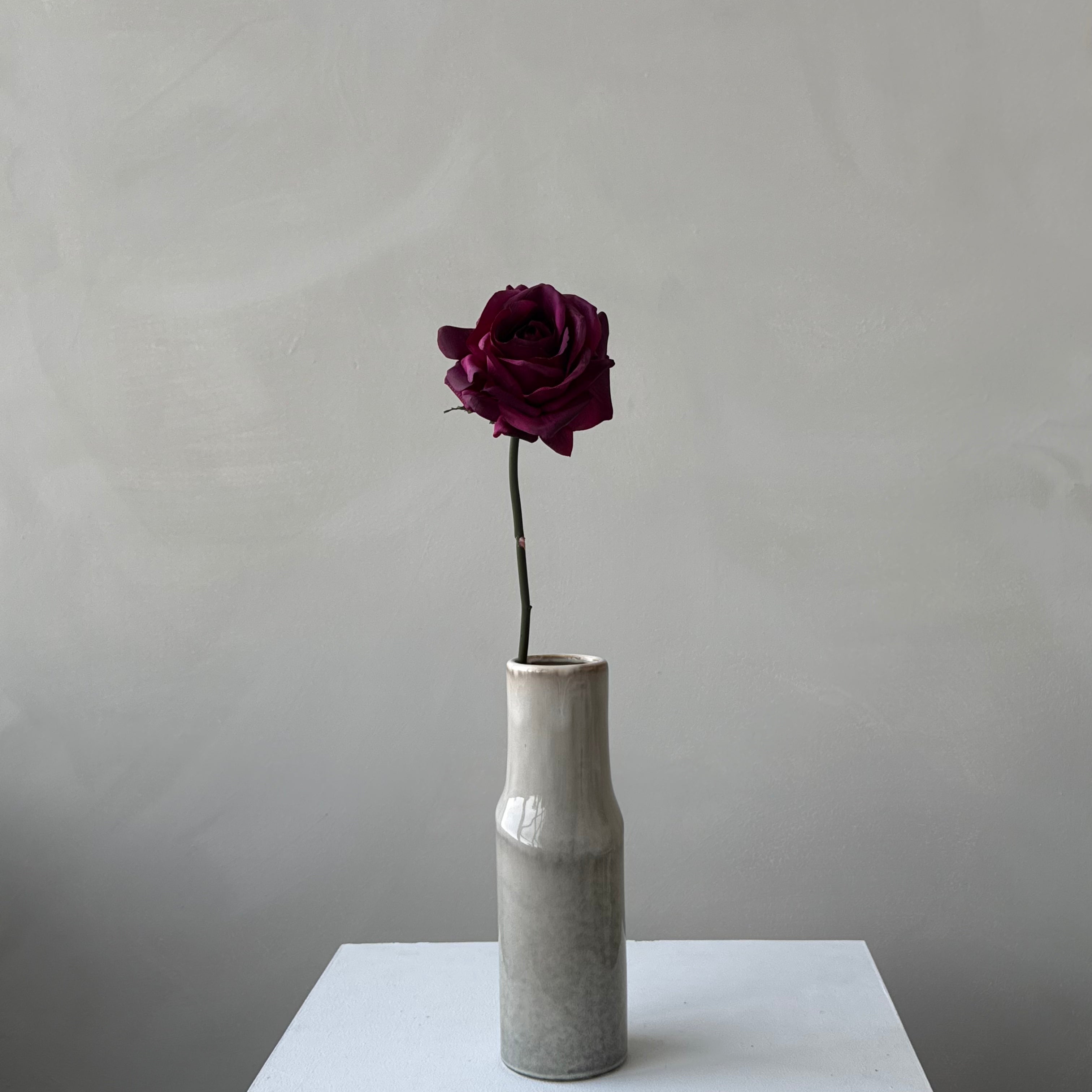 The Heritage Rose - Bordeaux