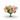 The Giverny, Compote